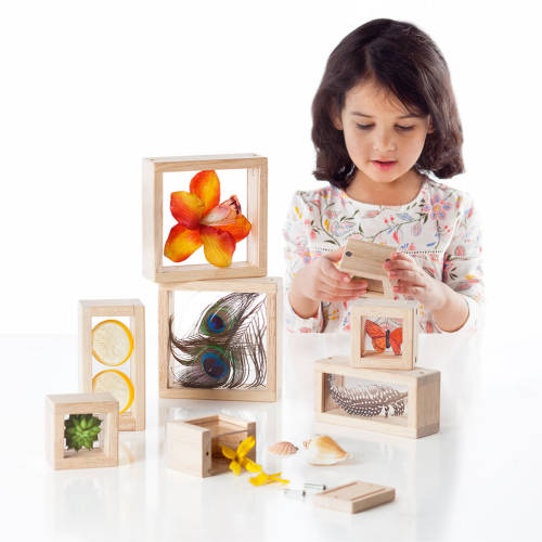 Treasure Blocks - Clear
