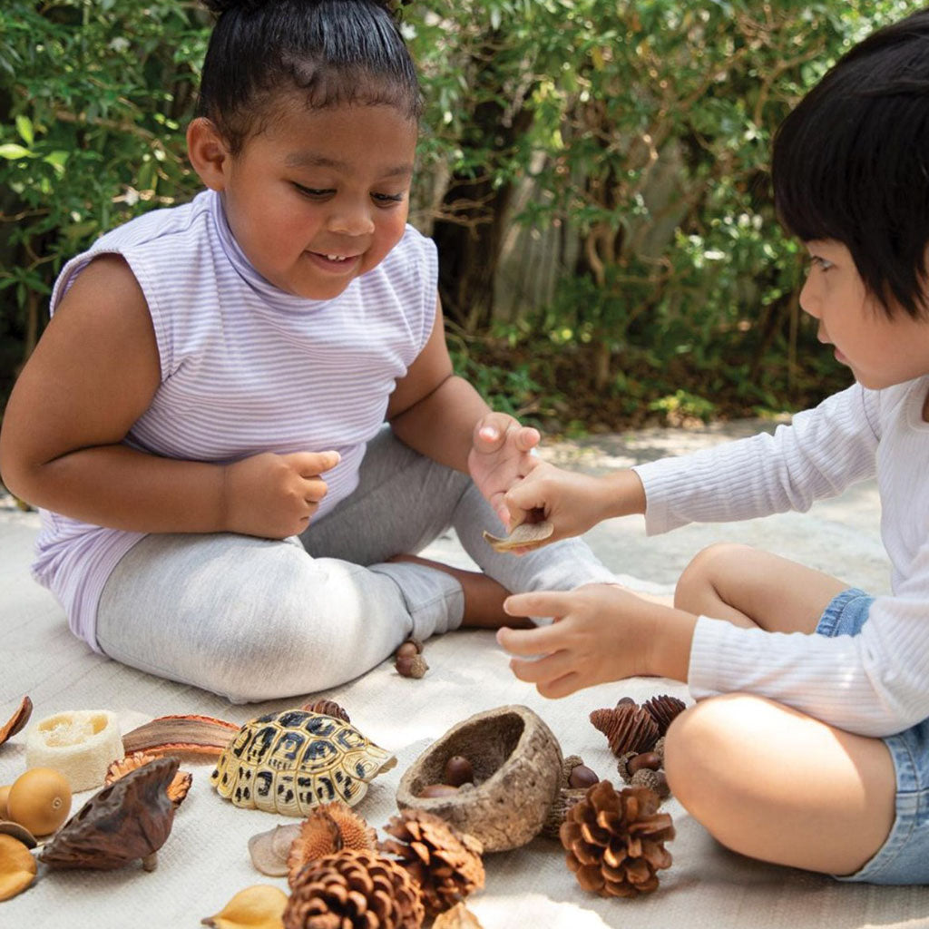Nature Play Loose Parts STEM Kit