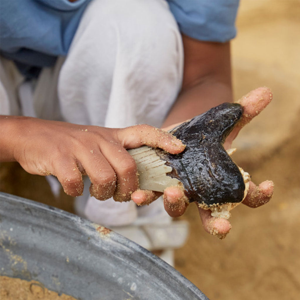 Super Shark Teeth Set - 40pcs - Educating Kids