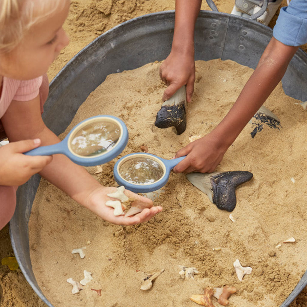Super Shark Teeth Set - 40pcs - Educating Kids