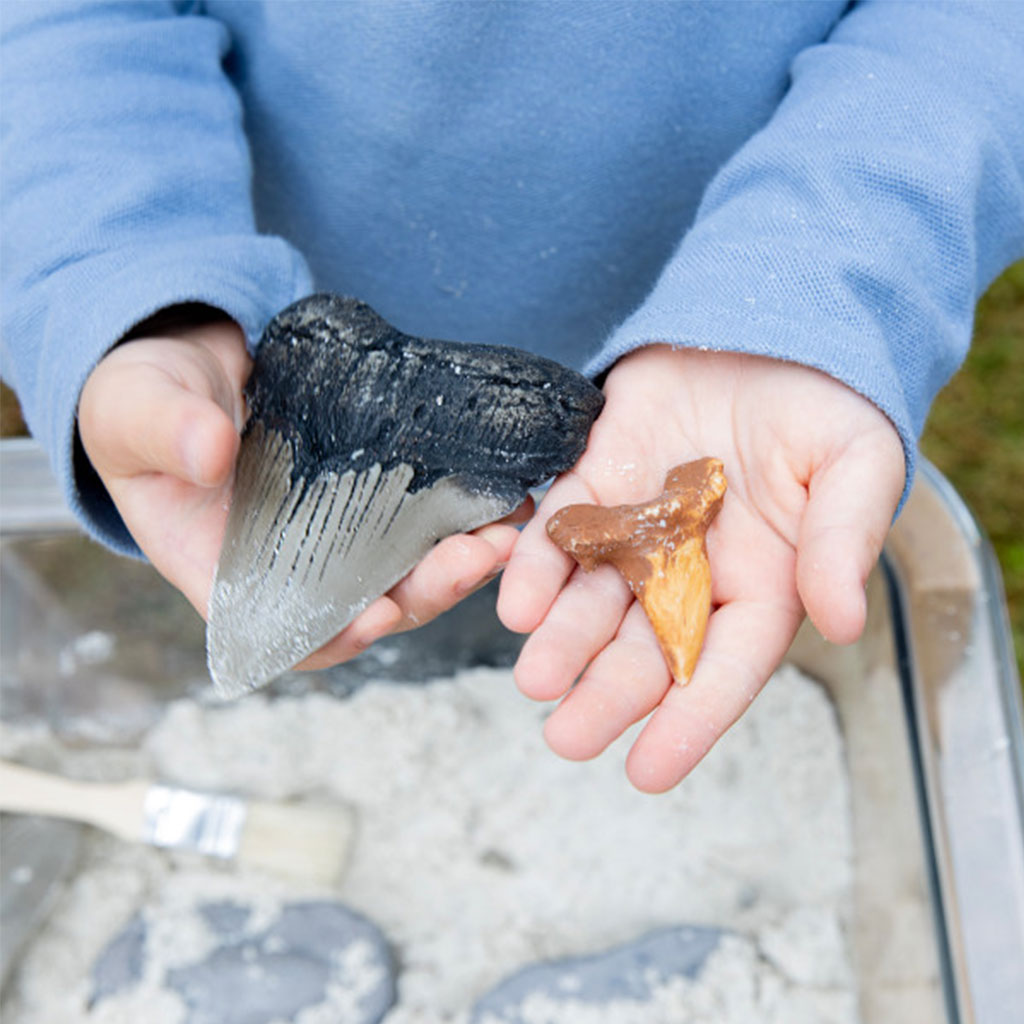 Super Shark Teeth Set - 40pcs - Educating Kids