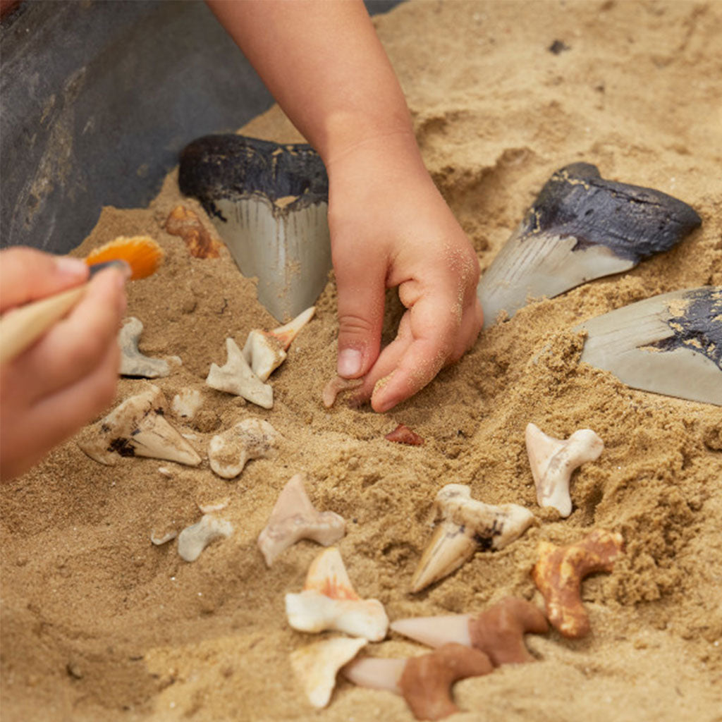 Super Shark Teeth Set - 40pcs - Educating Kids