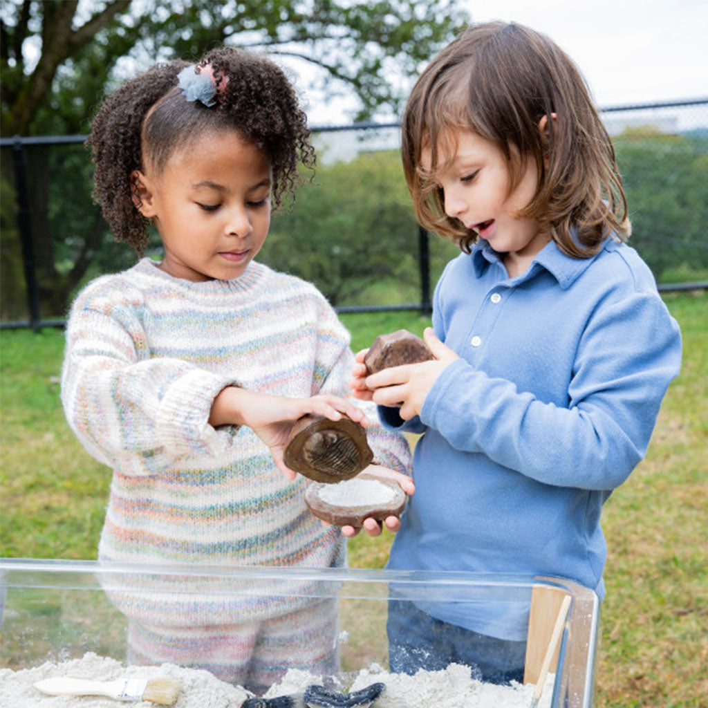 Magnetic Matching Fossil Stones - Set of 6