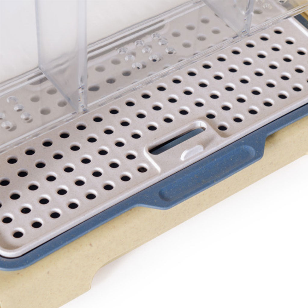 Explore and Discover 3-section Root View Planter