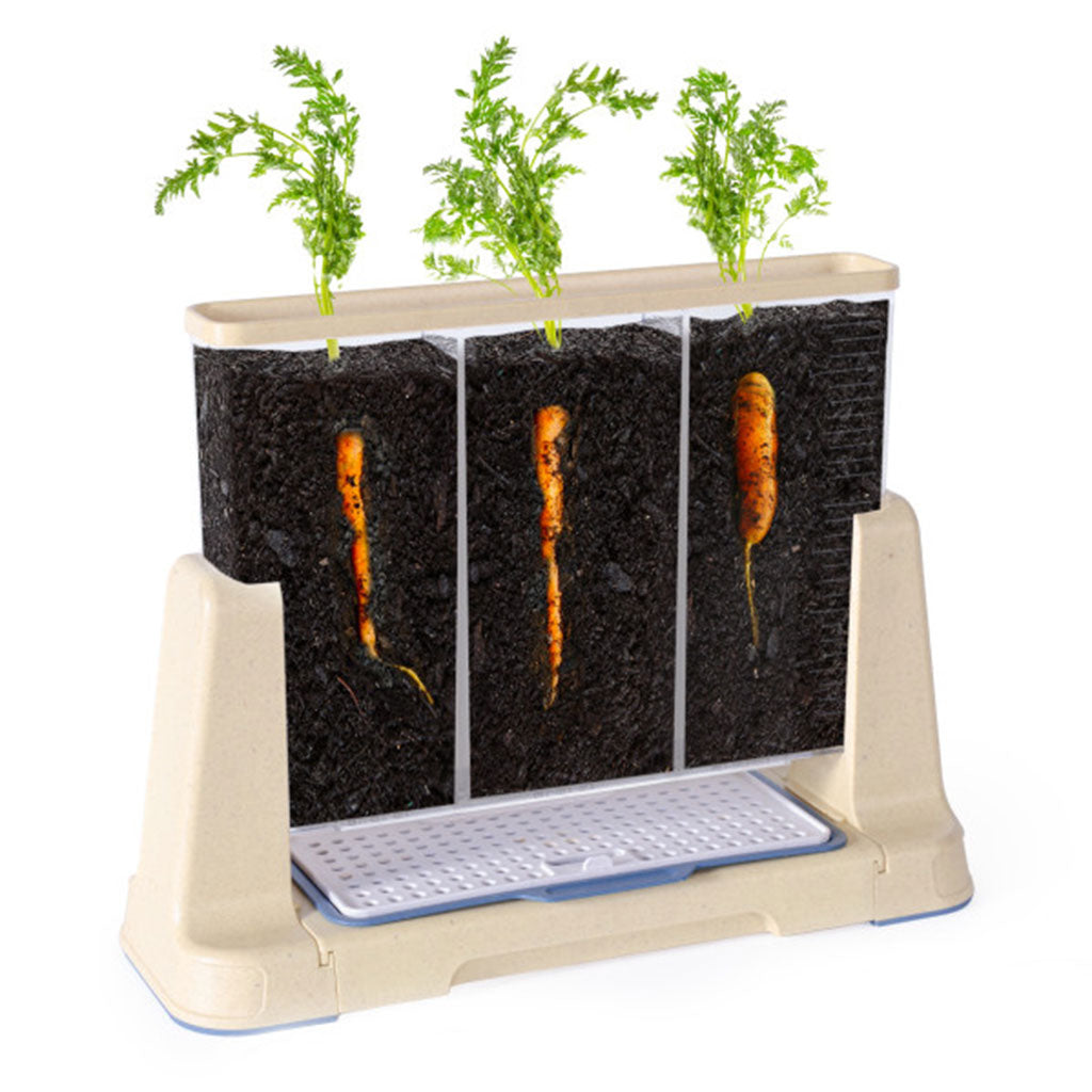 Explore and Discover 3-section Root View Planter