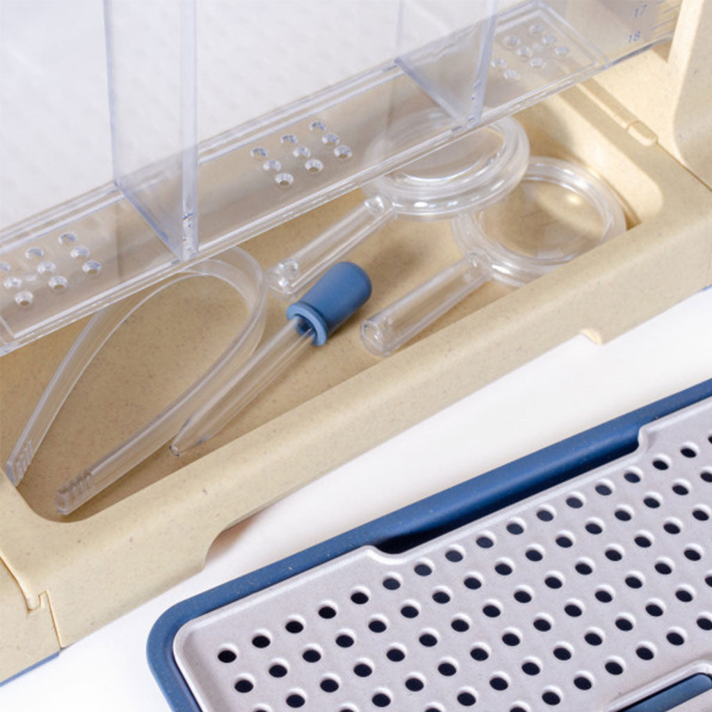 Explore and Discover 3-section Root View Planter