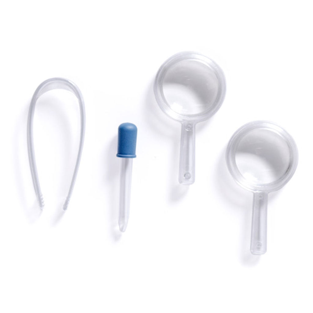 Explore and Discover 3-section Root View Planter