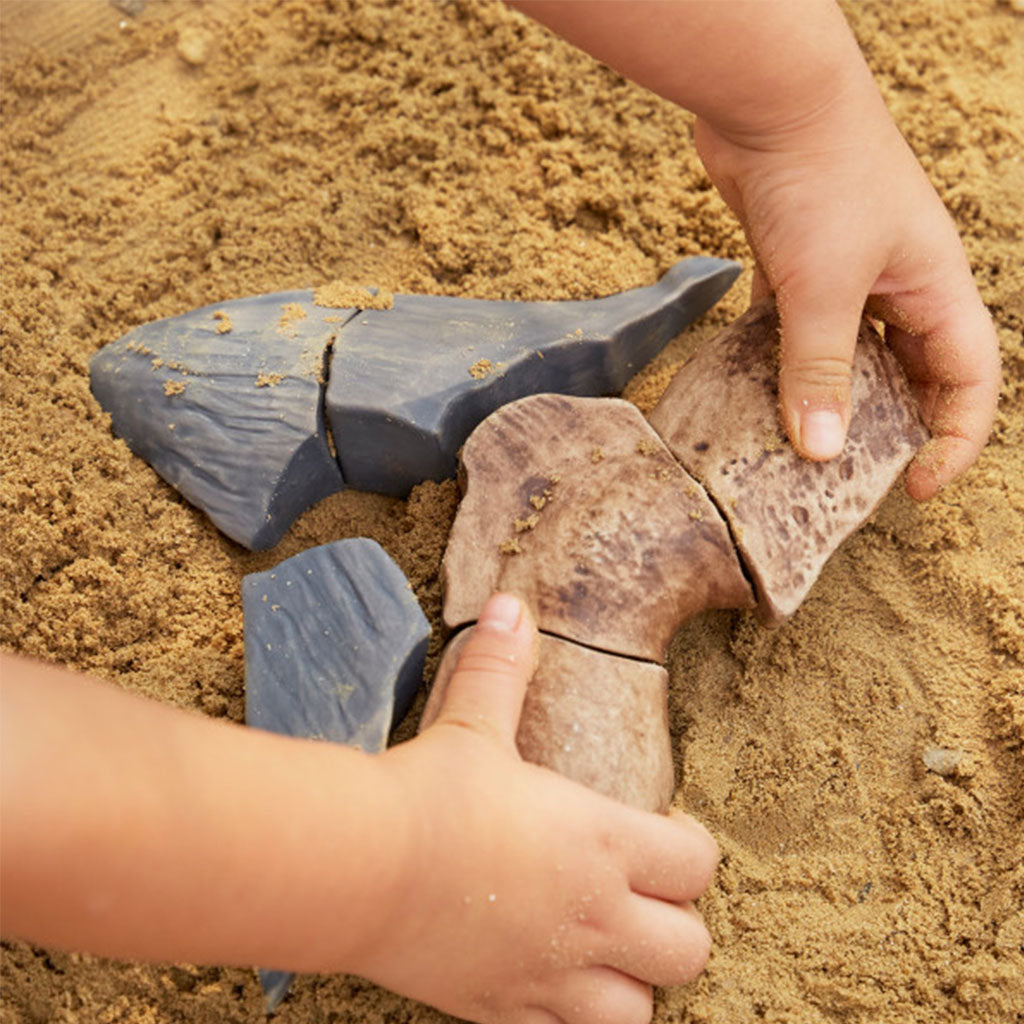Magnetic Fossil 3D Puzzle - Megalodon Tooth