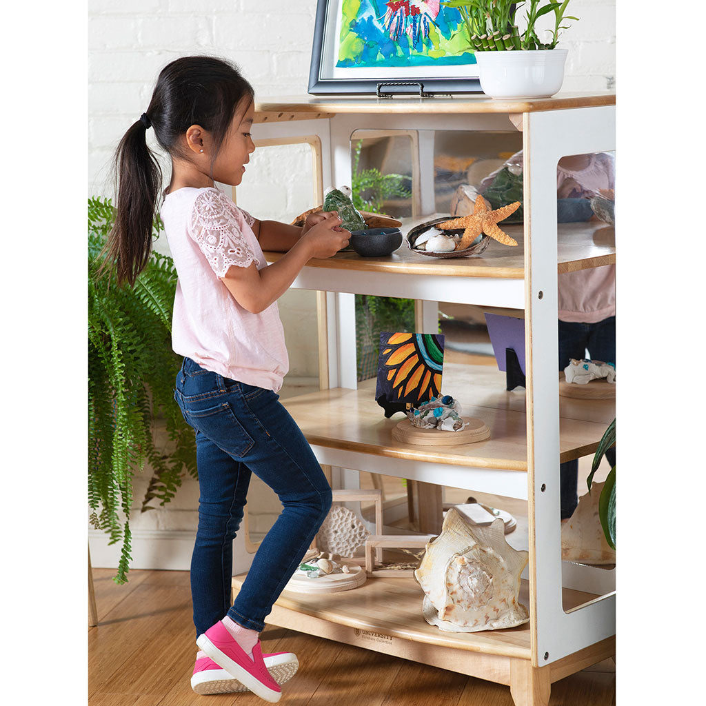 Sense of Place – Curio Storage Unit