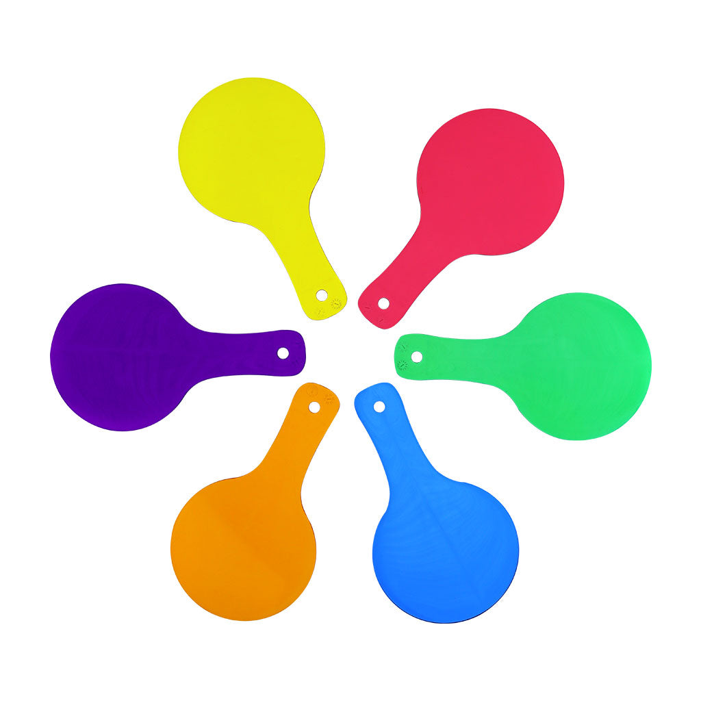 Colour Paddles - Set of 6 - Educating Kids