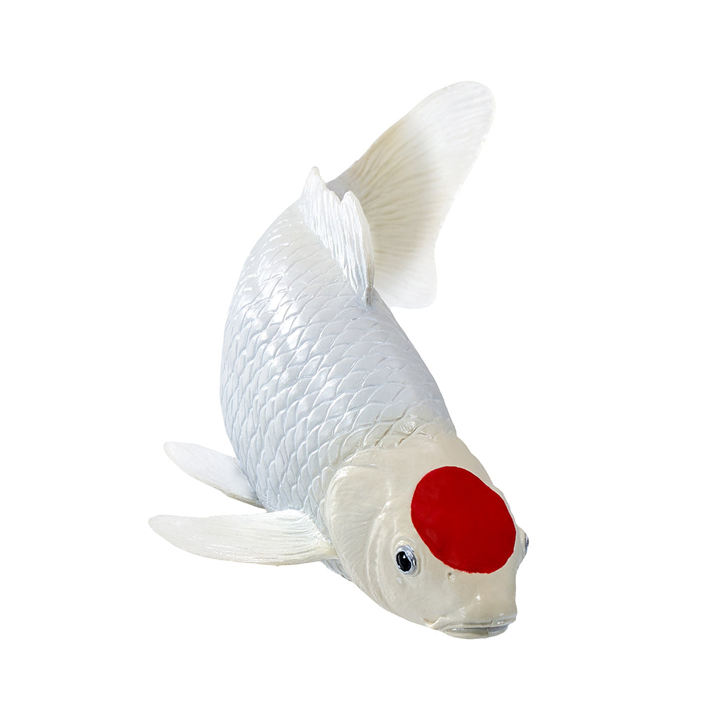 302-MOJ381101 Mojo - Tancho Koi Carp_03.jpg