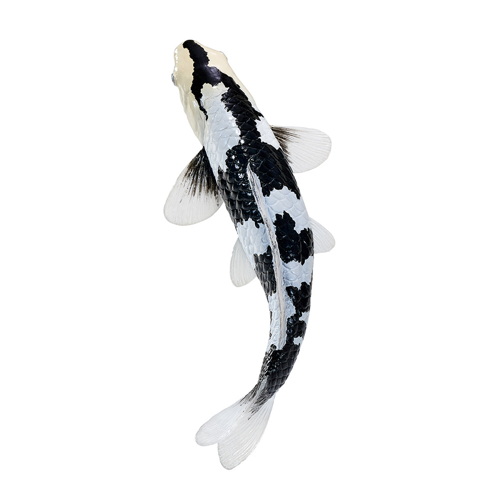 302-MOJ381102 Mojo - Shiro Utsuri Koi Carp_01.jpg