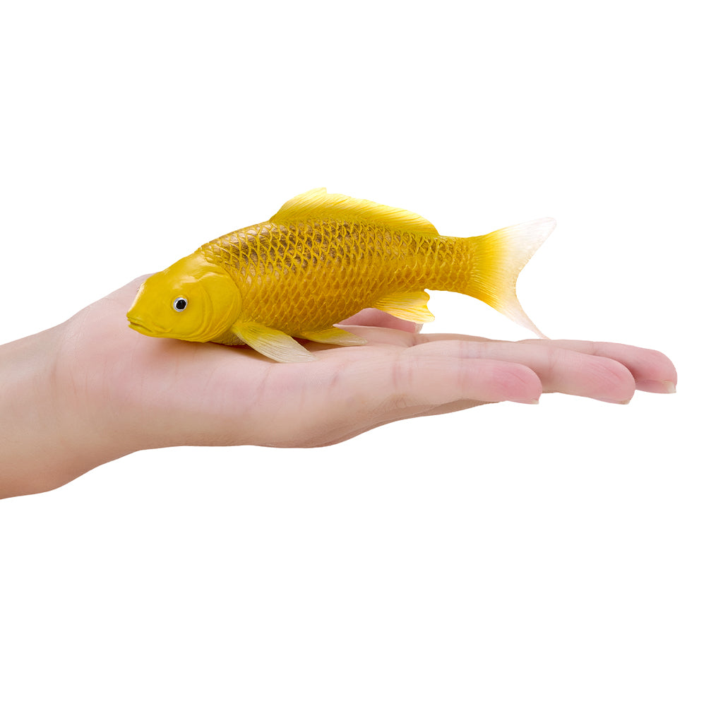 302-MOJ381105 Mojo - Kin Matsuba Koi Carp_03.jpg