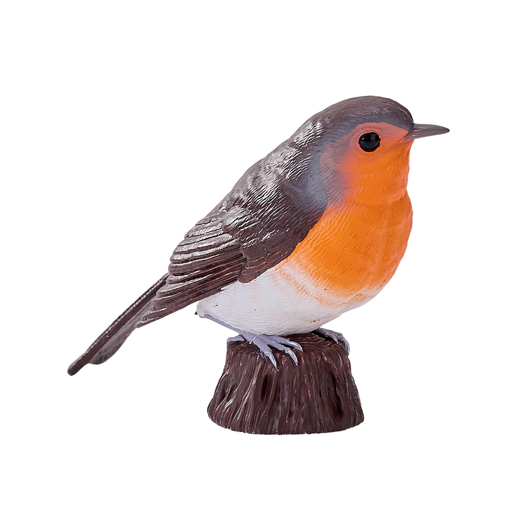 302-MOJ381112 Mojo - Robin_02.jpg