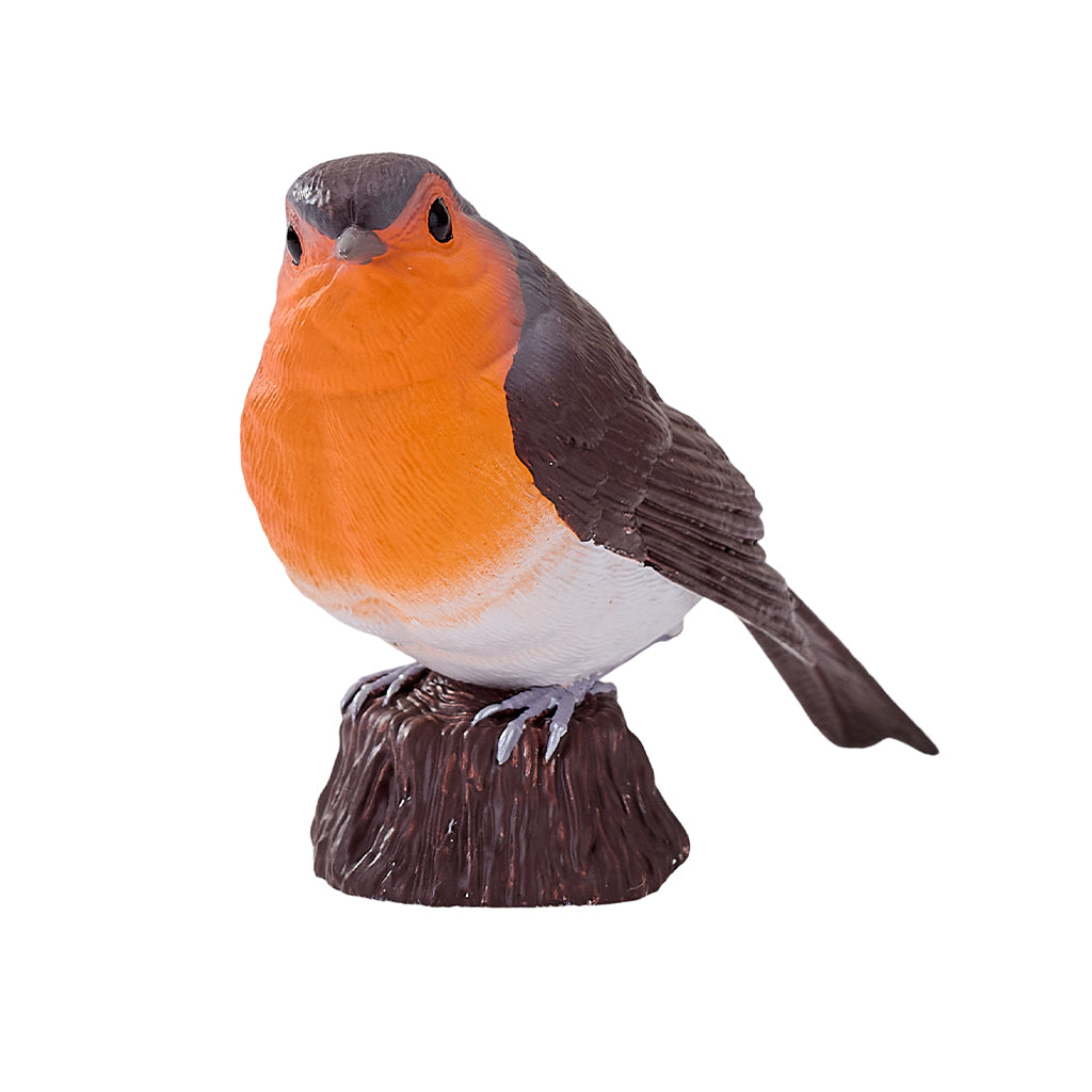 302-MOJ381112 Mojo - Robin_05.jpg