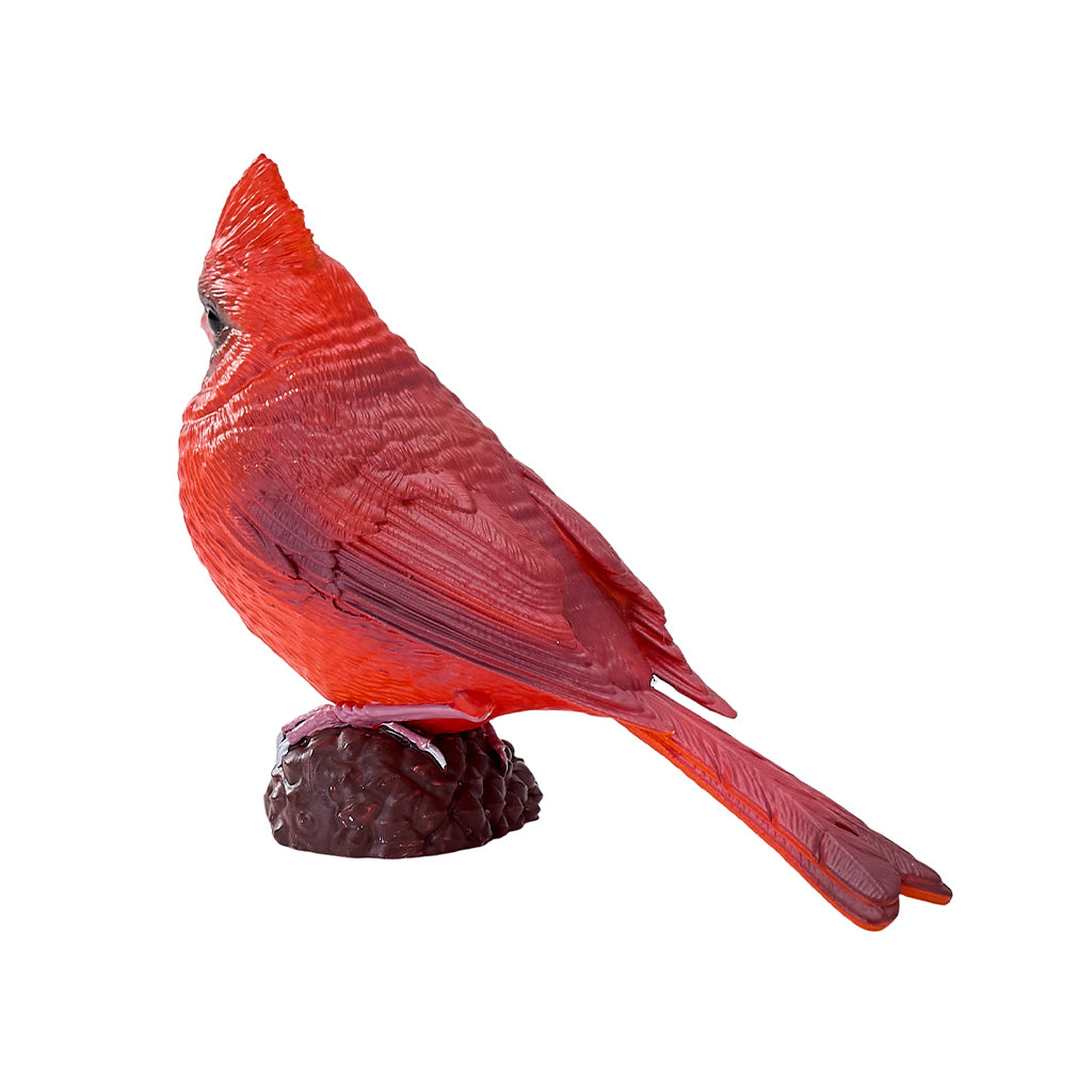 302-MOJ381117 Mojo - Red Cardinal_02.jpg
