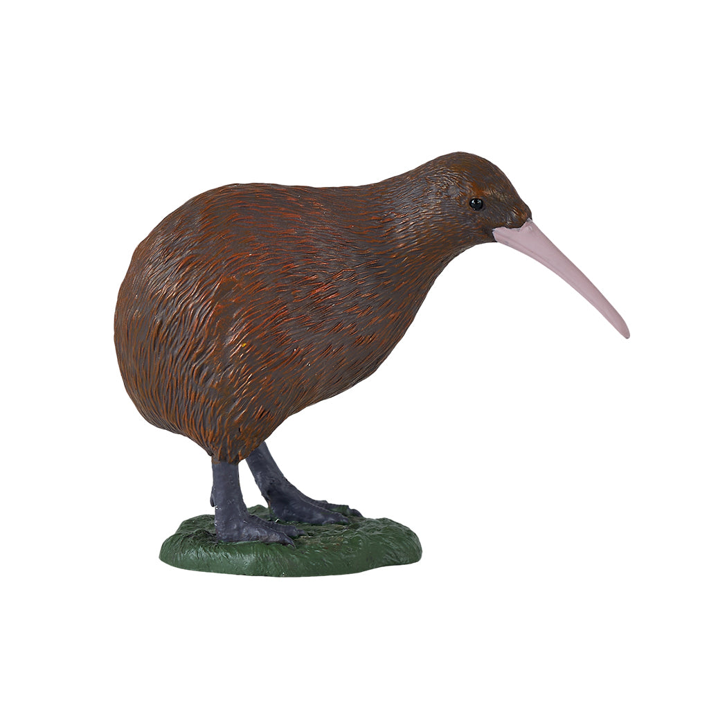 302-MOJ381149 Mojo - Kiwi_03.jpg