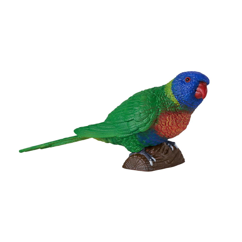 302-MOJ381150 Mojo - Rainbow Lorikeet_01.jpg
