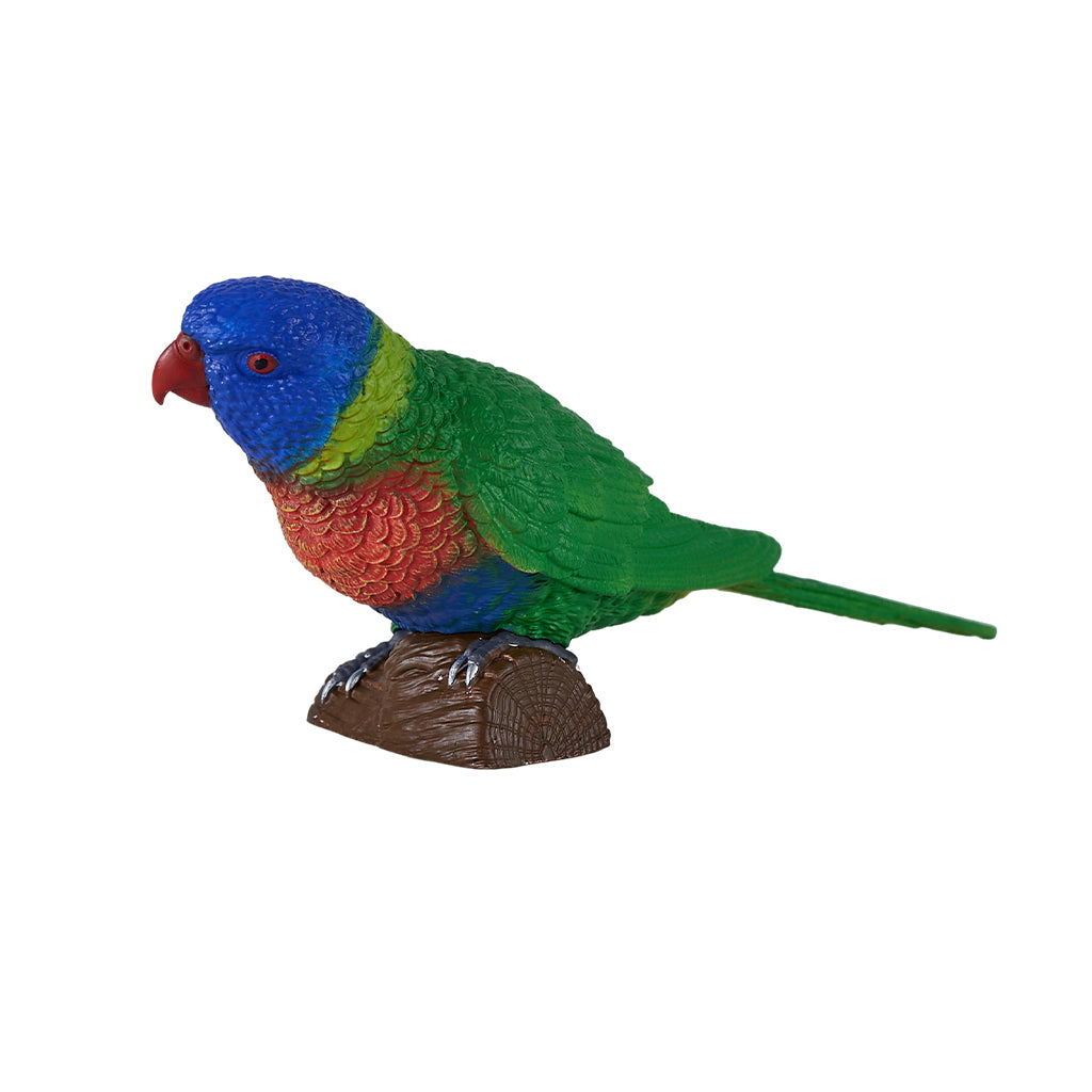 302-MOJ381150 Mojo - Rainbow Lorikeet_05.jpg