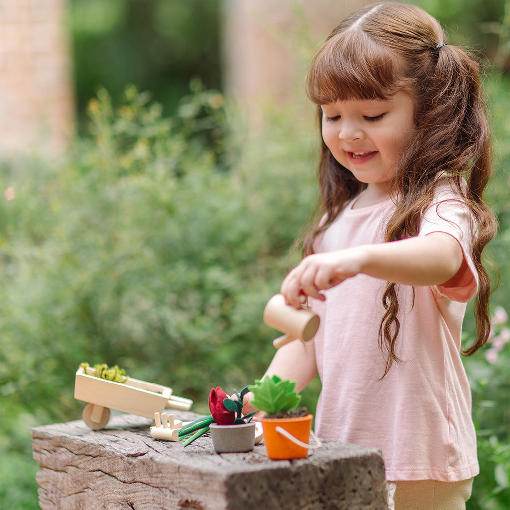 302-PT2604 PlanToys - Garden Wheelbarrow Set_05.jpg