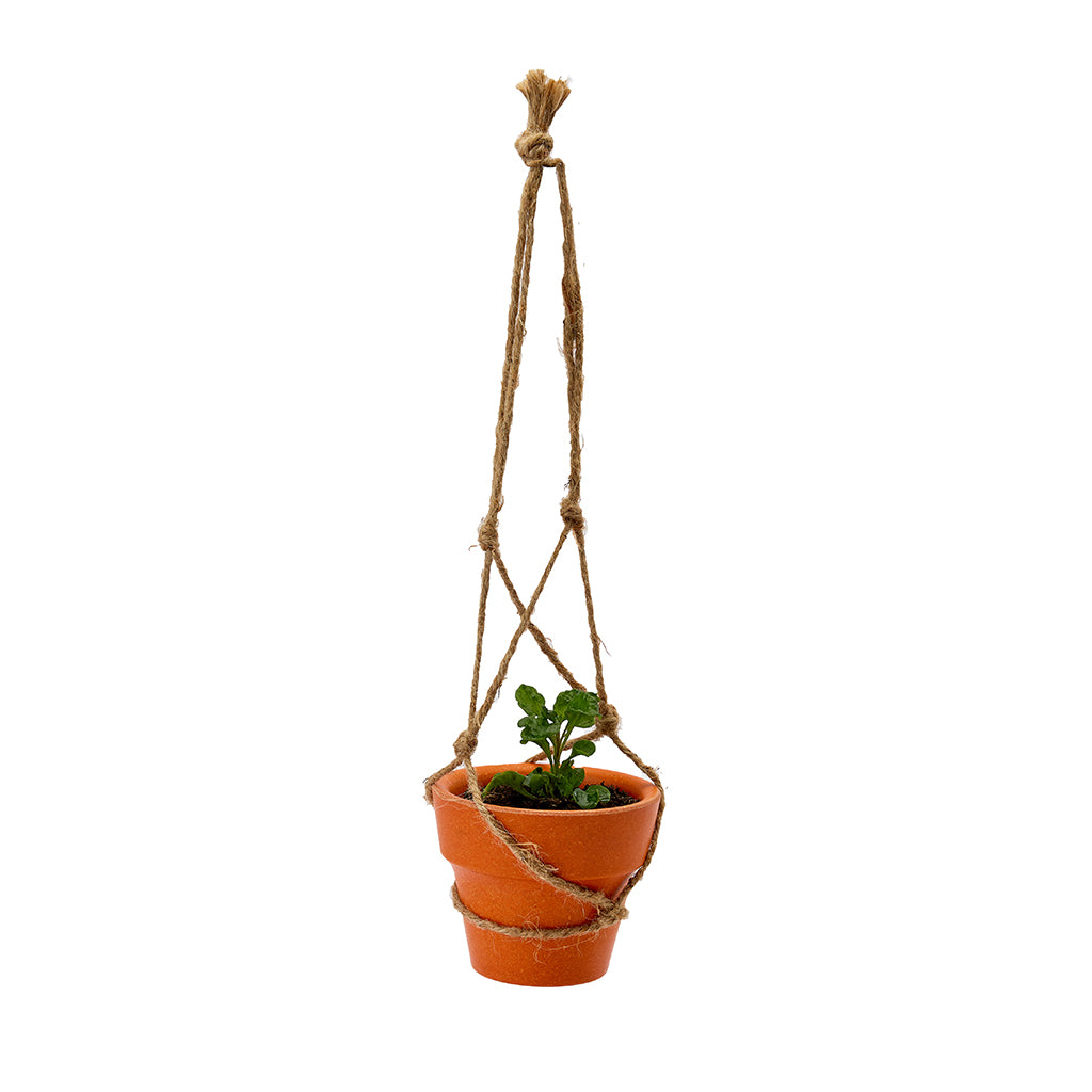 302-PT2606 PlanToys - Plant Pots Trio_04.jpg