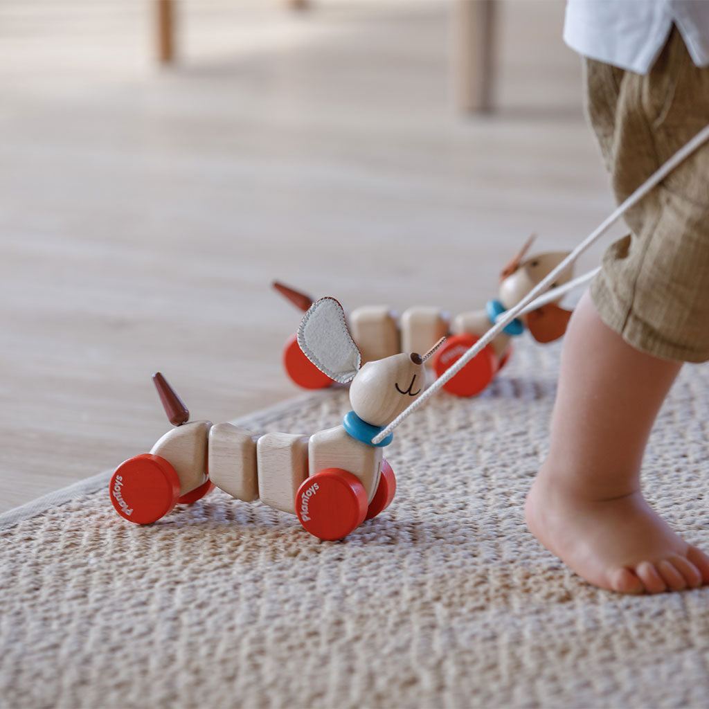 PlanToys - Happy Puppy - Educating Kids