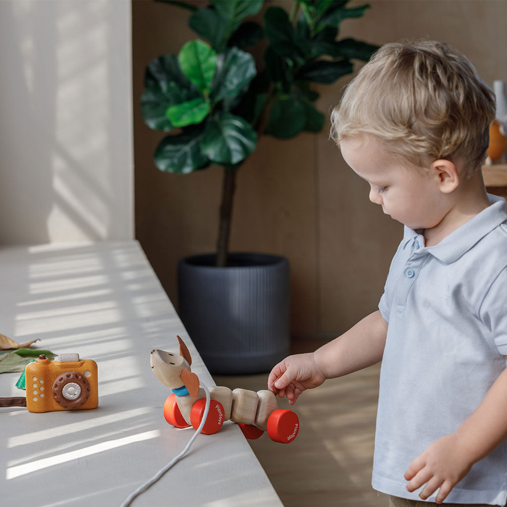 PlanToys - Happy Puppy - Educating Kids