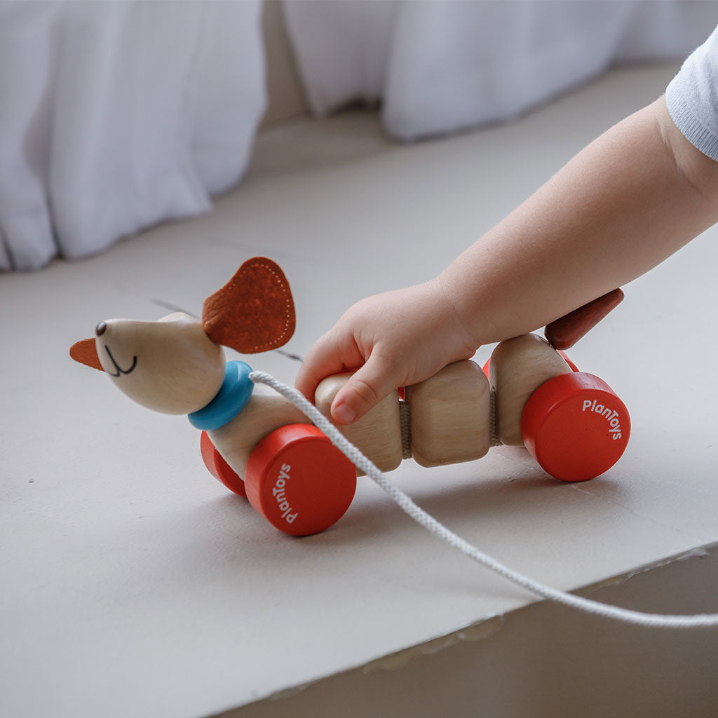 PlanToys - Happy Puppy - Educating Kids