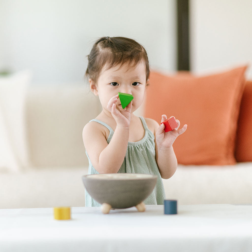 PlanToys - Shape Sorting Bowl