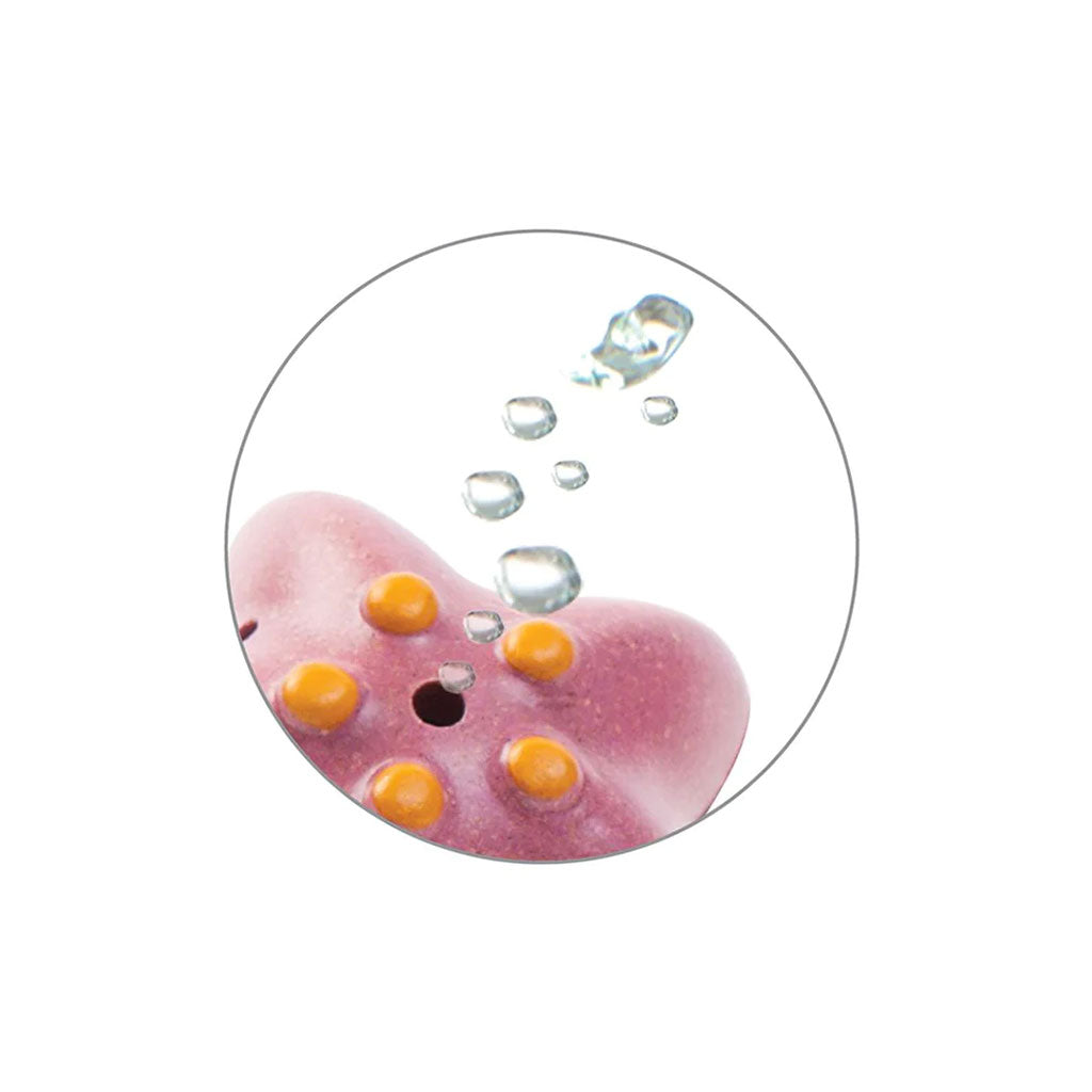 Plan Toys Sea Life Play Set