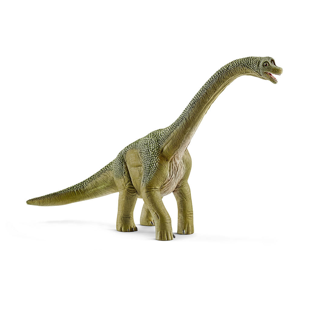 Schleich - Brachiosaurus - Educating Kids