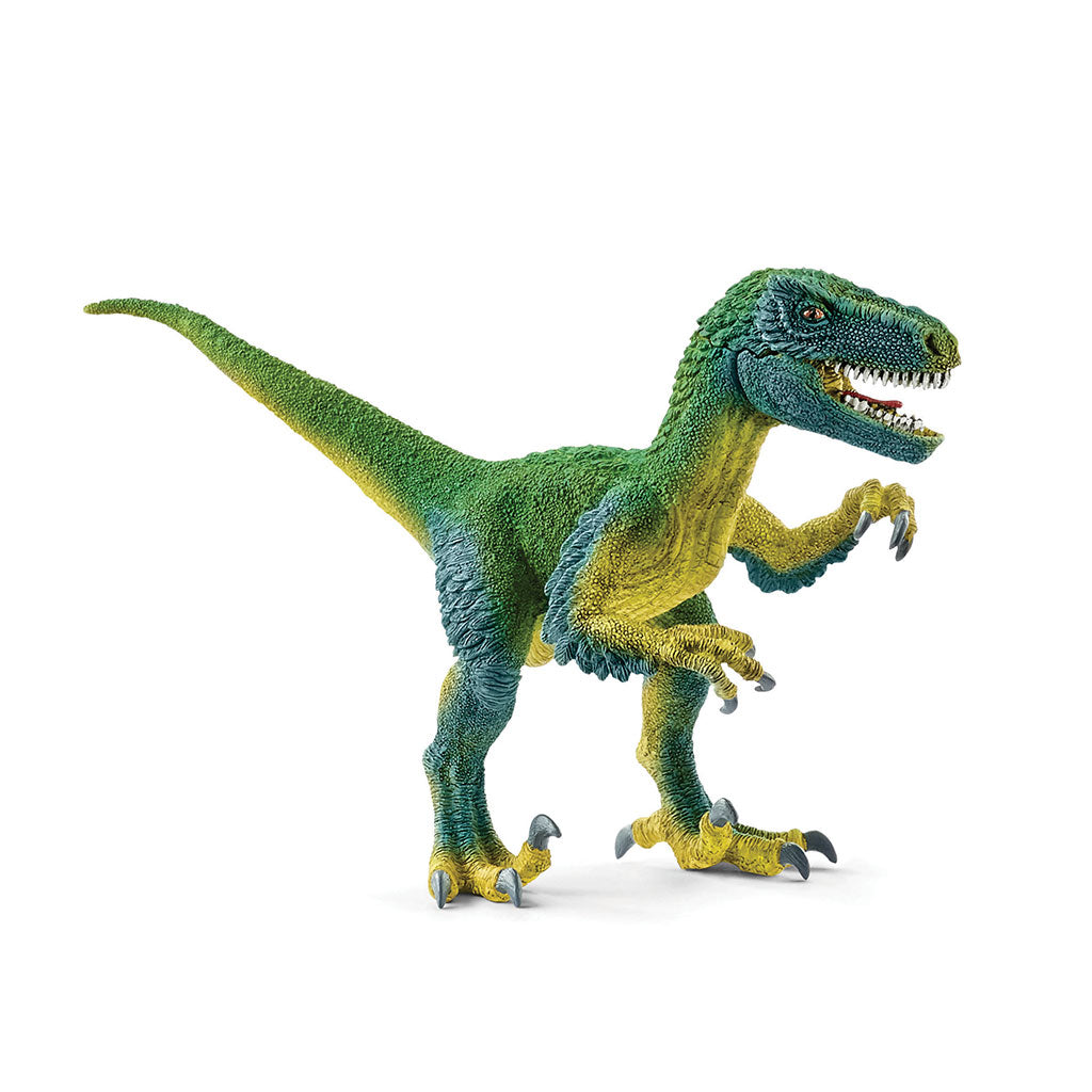 Schleich - Velociraptor - Educating Kids