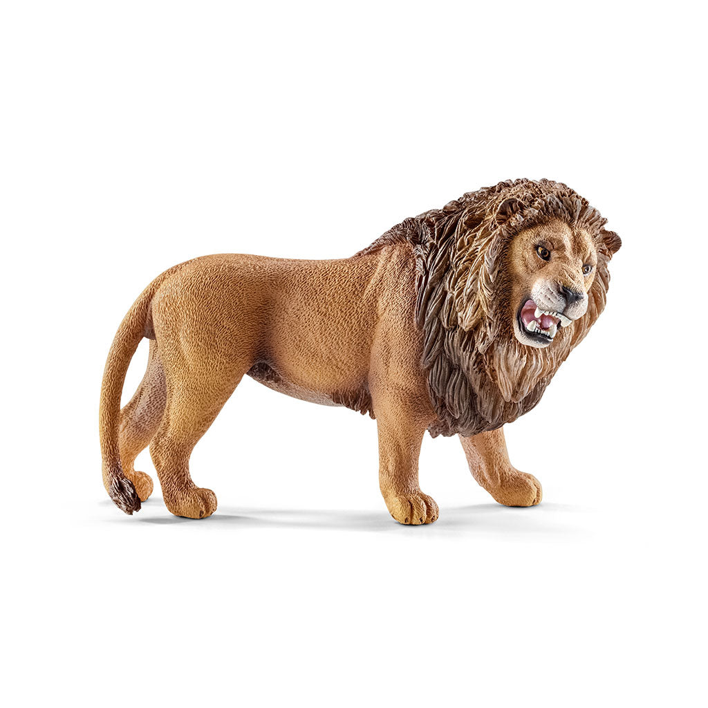 Schleich - Lion Roaring - Educating Kids