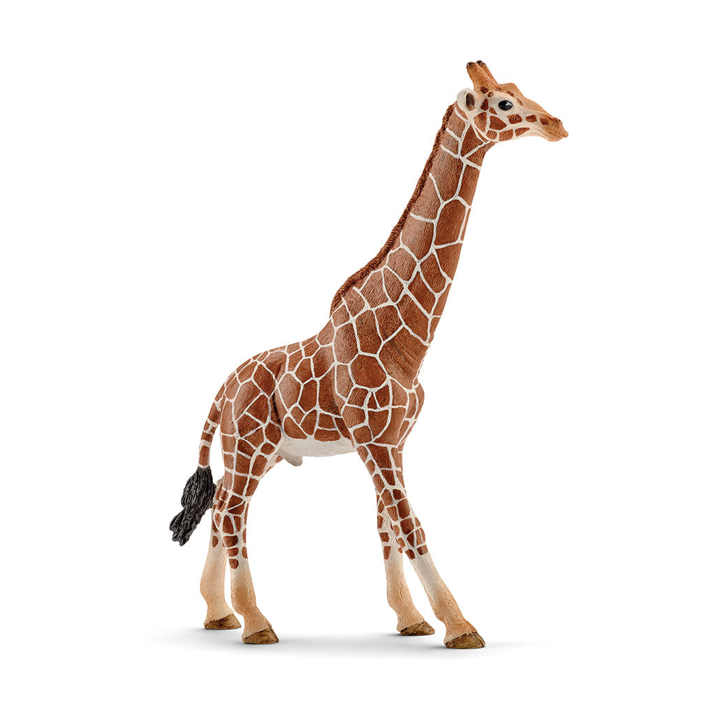 Schleich - Giraffe Male - Educating Kids