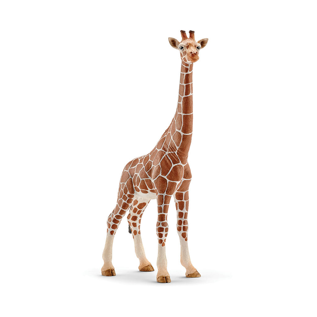 Schleich - Giraffe Female - Educating Kids