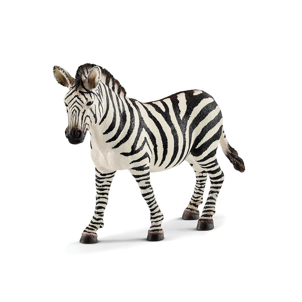 Schleich - Zebra Female - Educating Kids