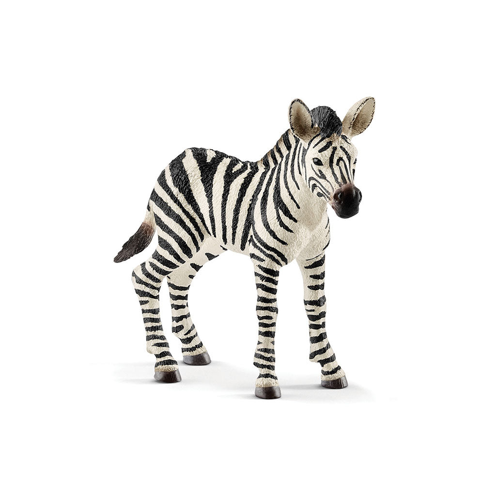 Schleich - Zebra Foal - Educating Kids