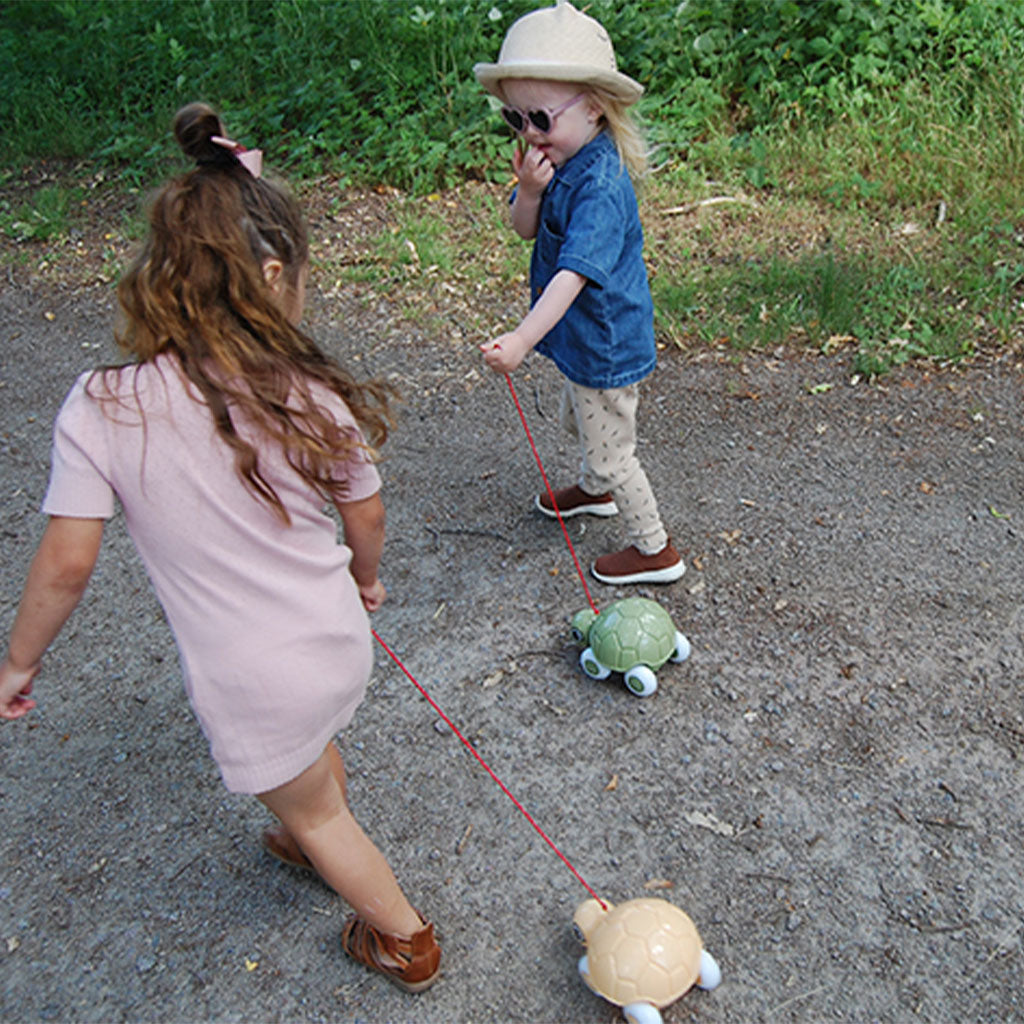 Viking Toys - Reline Pull-Along Turtle - Educating Kids