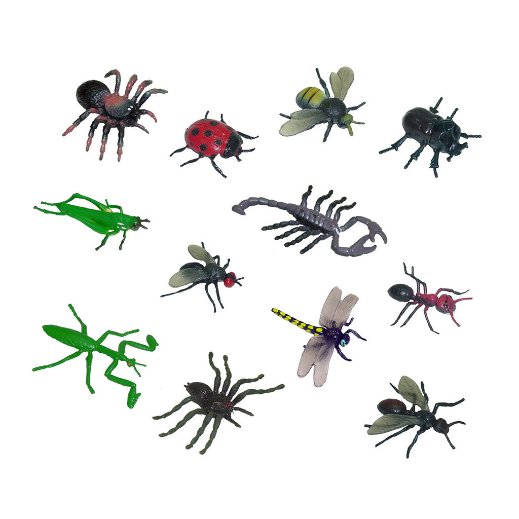 Insects - Set of 12 - Educating Kids