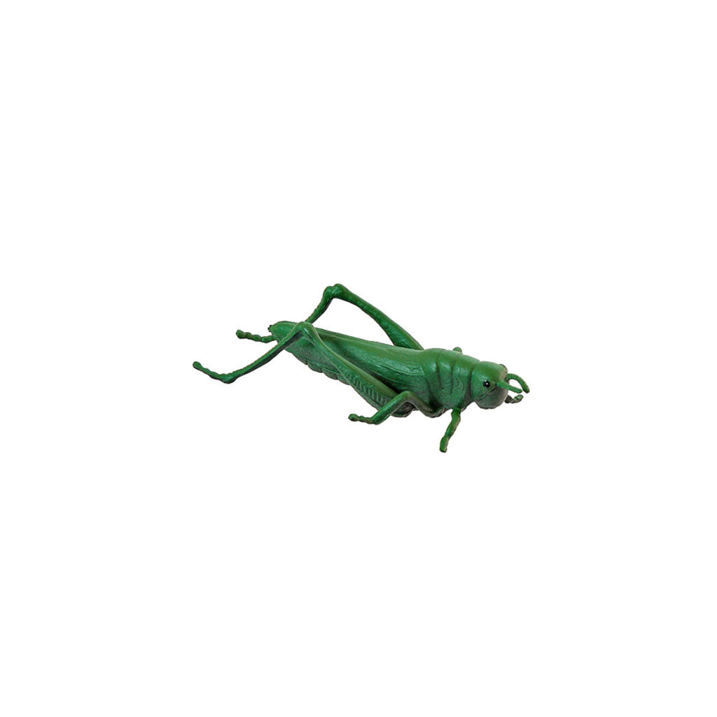Insects - Set of 12 - Educating Kids