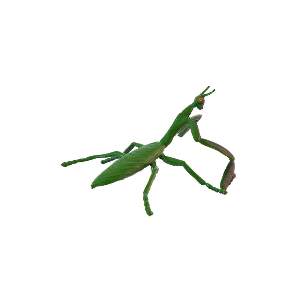 Insects - Set of 12 - Educating Kids