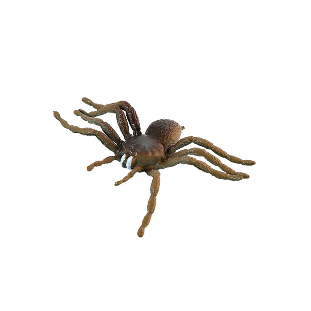 Insects - Set of 12 - Educating Kids