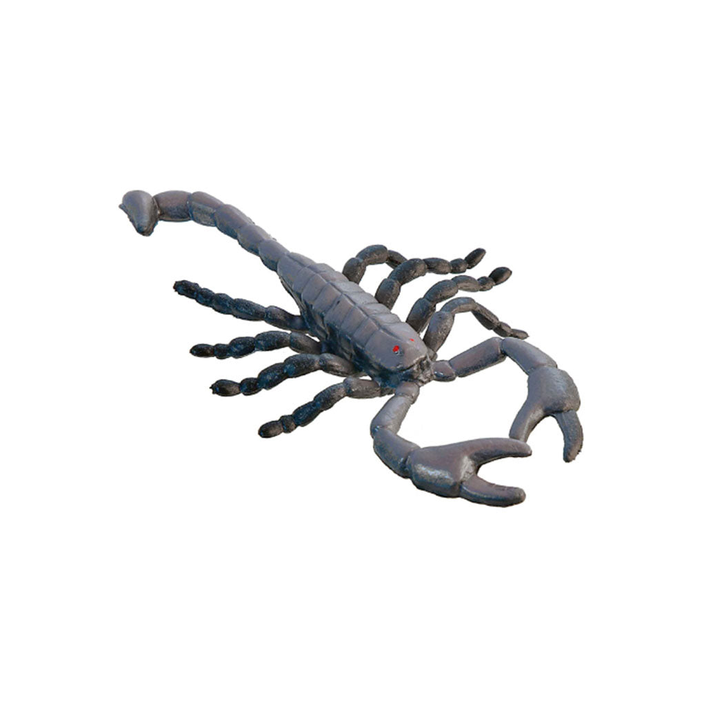 Insects - Set of 12 - Educating Kids