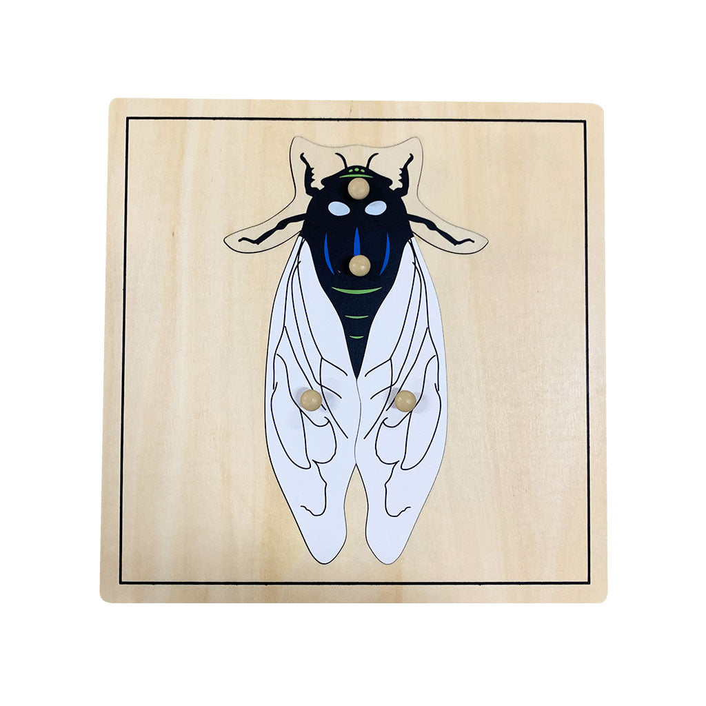 318-BOTA025_fly-puzzle_01_large.jpg