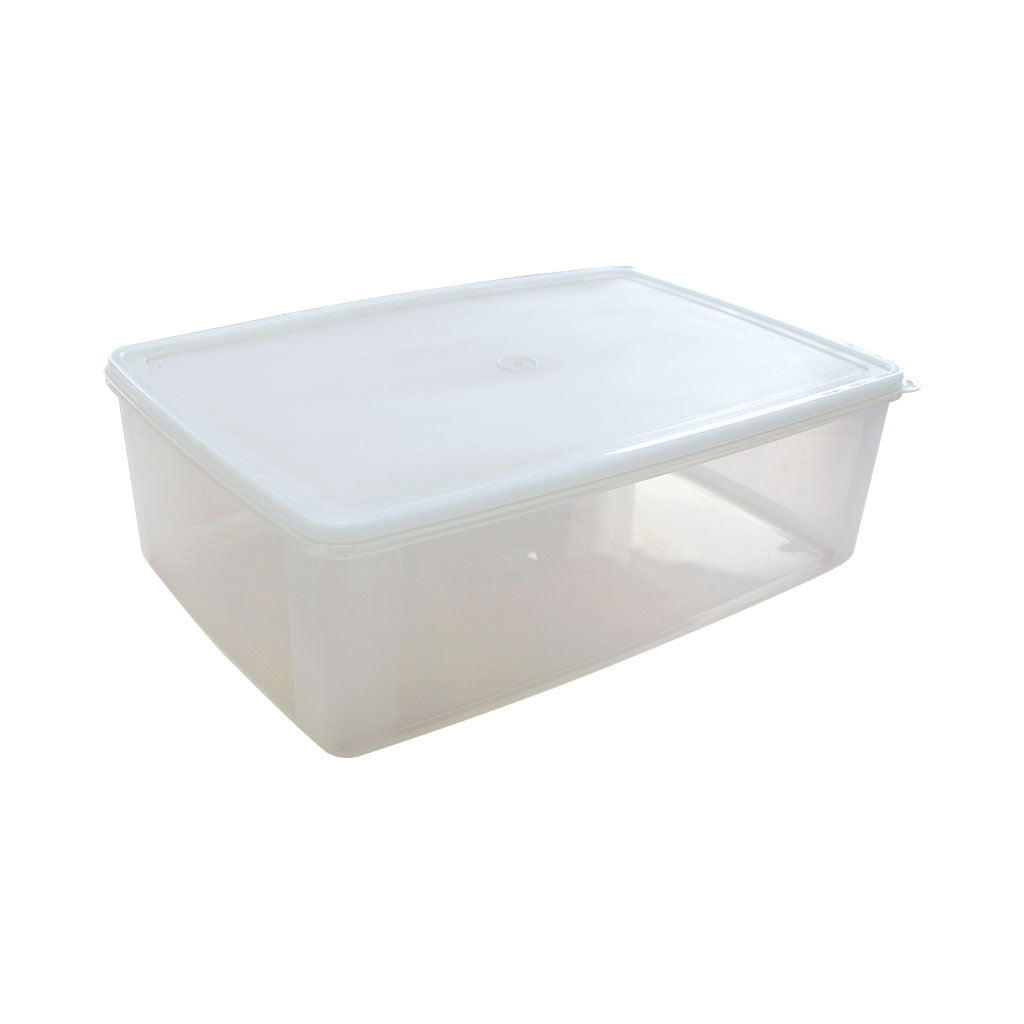 Clear Storage Container - Medium - Educating Kids
