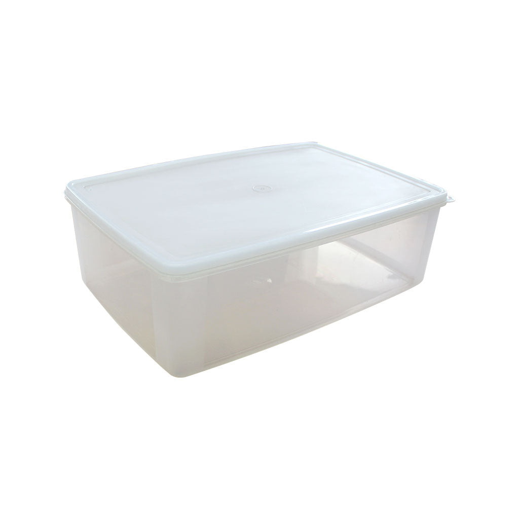 Clear Storage Container - Small