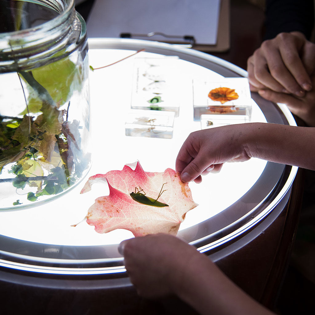 Round Light Panel Silver - V2 - Educating Kids