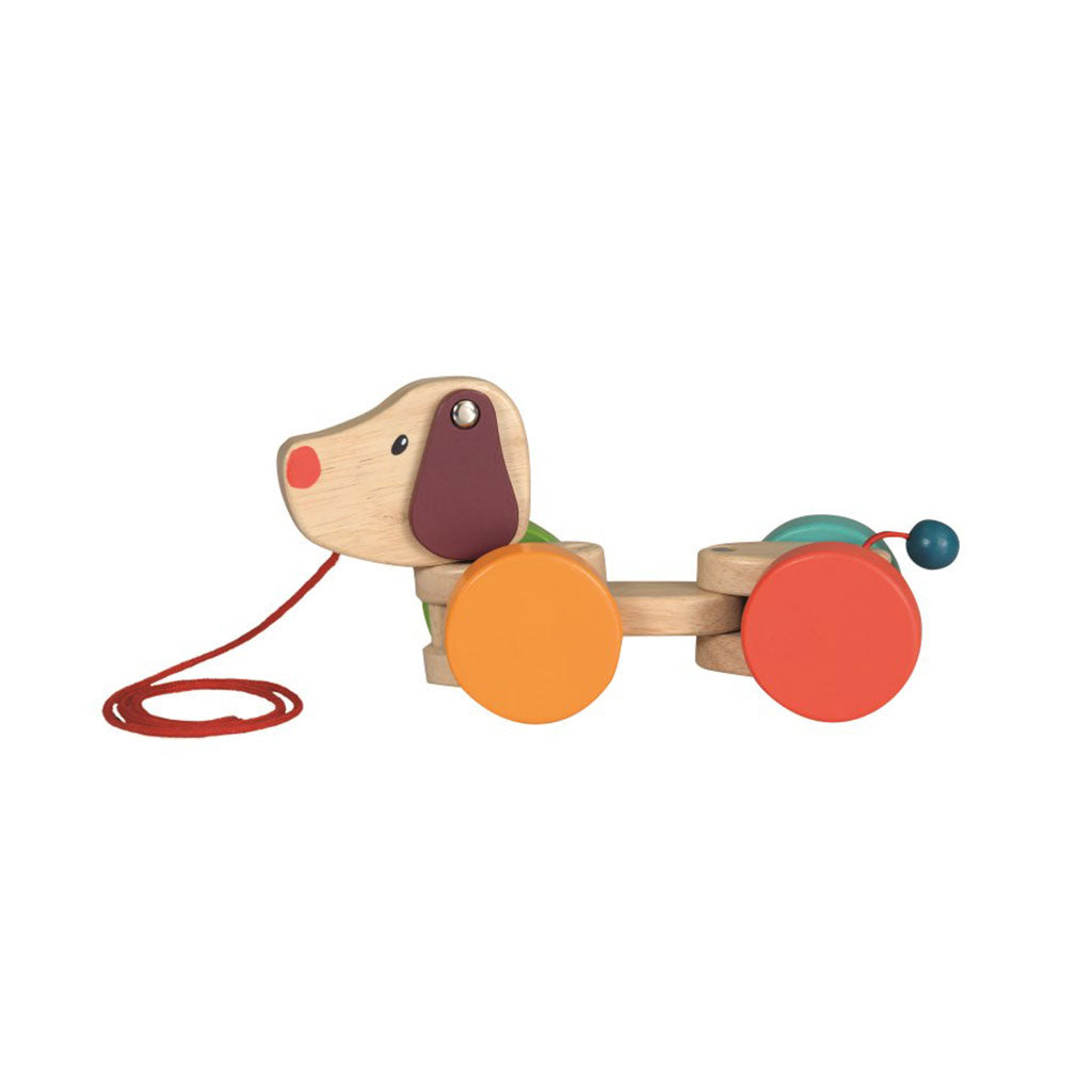 Pull Along Funny Dog