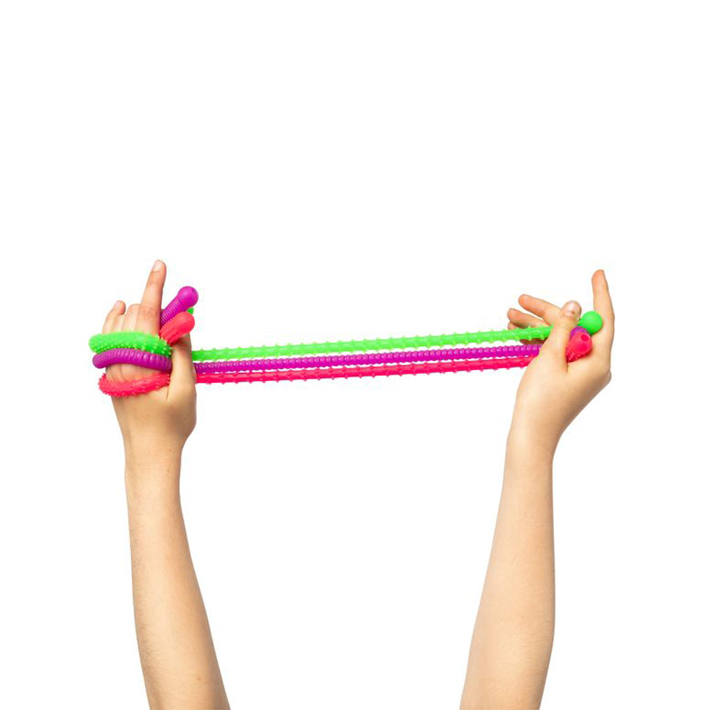 Stretch Caterpillars - 5pc - Educating Kids