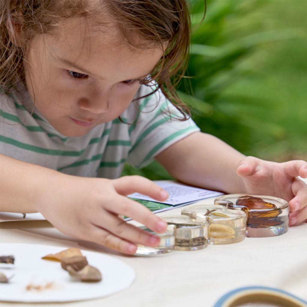 Science & Discovery Life Cycle Puzzles